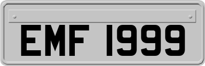 EMF1999