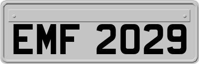 EMF2029