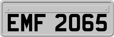 EMF2065