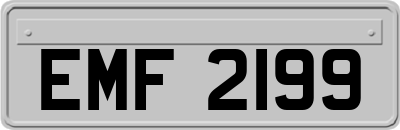 EMF2199