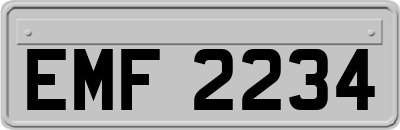 EMF2234