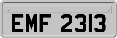 EMF2313