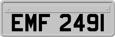 EMF2491