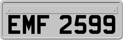 EMF2599