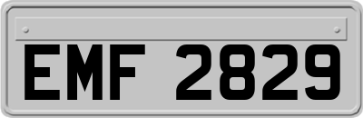 EMF2829
