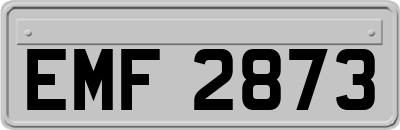EMF2873