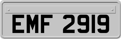 EMF2919