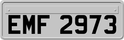 EMF2973