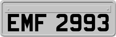 EMF2993