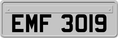 EMF3019