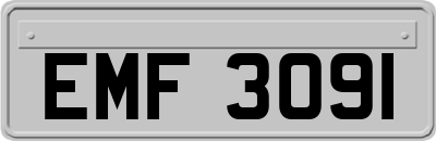 EMF3091