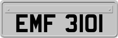 EMF3101