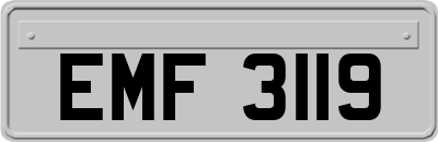 EMF3119