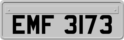 EMF3173