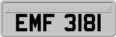 EMF3181