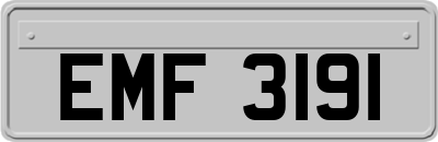 EMF3191