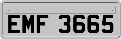 EMF3665