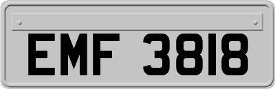 EMF3818