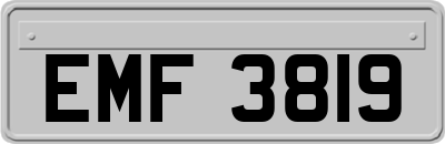 EMF3819