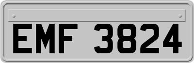 EMF3824