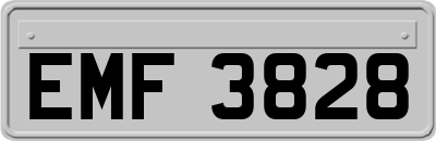 EMF3828