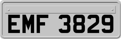 EMF3829