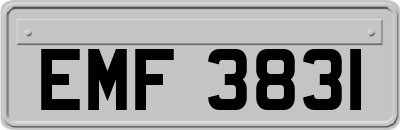 EMF3831