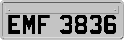 EMF3836