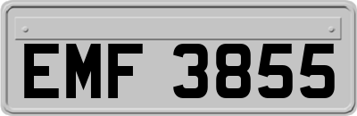 EMF3855
