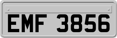 EMF3856