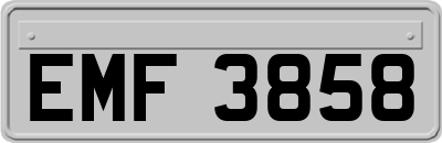 EMF3858