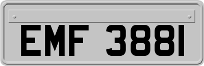 EMF3881