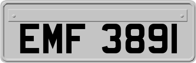 EMF3891