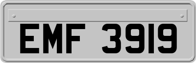 EMF3919