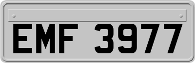 EMF3977