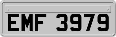 EMF3979
