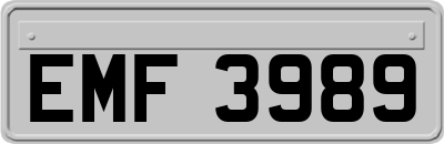 EMF3989