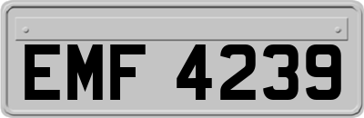 EMF4239
