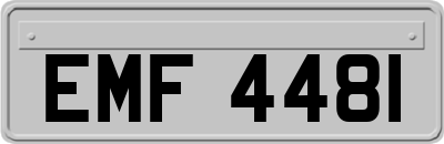EMF4481