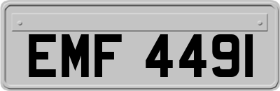 EMF4491