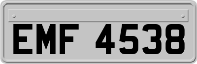 EMF4538