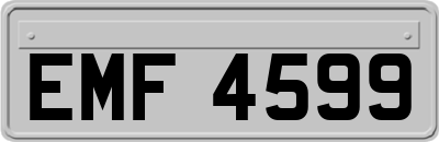EMF4599