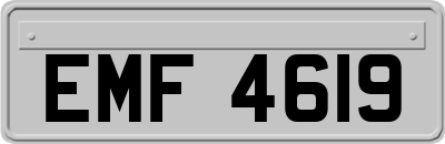 EMF4619
