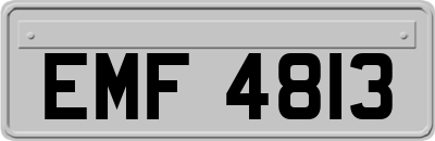 EMF4813
