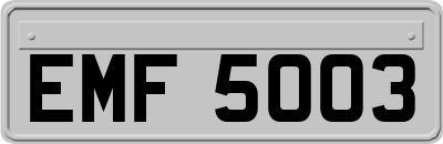 EMF5003