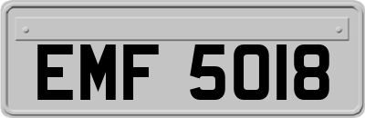 EMF5018