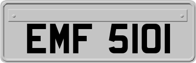 EMF5101