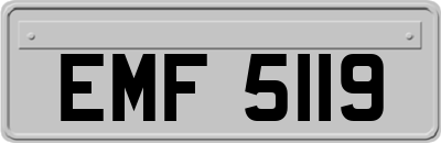 EMF5119