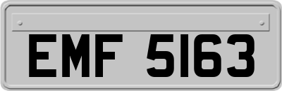 EMF5163