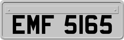 EMF5165